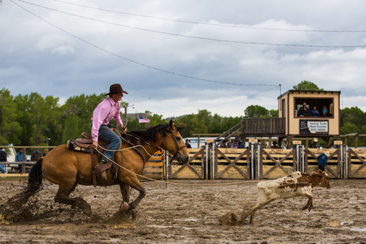 The Rugged Legacy: Exploring the History of Calf Roping