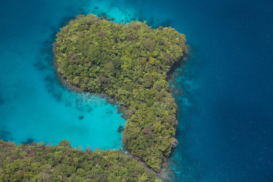 Unveiling Palau: A Hidden Gem in the Pacific Paradise