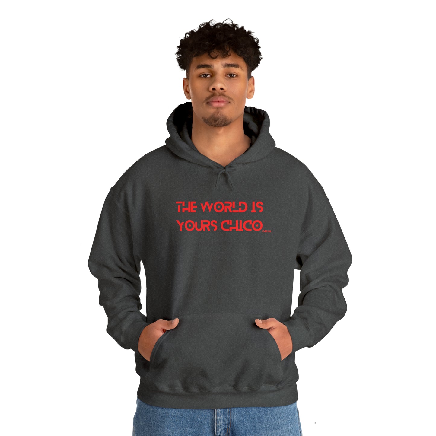 The World is Yours Chico, Unisex Heavy Blend Hooded Sweatshirt